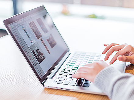 赏金船长平台荣誉资质五